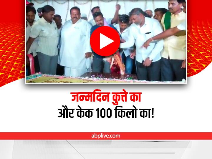 trending video showing birthday celebration of a dog cutting 100 kilo cake in a grand party goes viral on social media Watch: कुत्ते ने बर्थडे में काटा 100 किलो का केक, ग्रैंड पार्टी में शामिल हुए 5 हजार से ज्यादा मेहमान