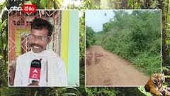 Tiger Attacks ప్రత్తిపాడు, ఏలేశ్వరం, శంఖవరం ఇప్పుడు రౌతులపూడి | Kakinada Tiger | ABP Desam
