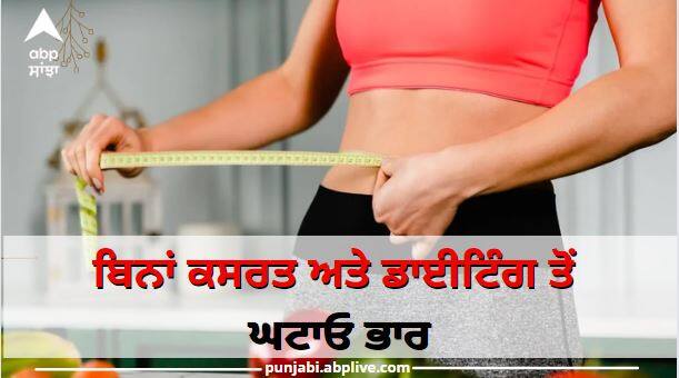 Weight Loss Tips: How to lose weight without exercise and Dieting Weight Loss: ਕਸਰਤ ਅਤੇ ਡਾਈਟਿੰਗ ਤੋਂ ਬਿਨਾਂ ਘਟਾਓ ਭਾਰ , ਰਹੋਗੇ ਸਿਹਤਮੰਦ ਅਤੇ ਫਿੱਟ