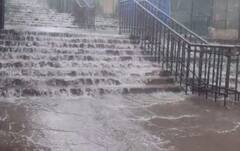 પાવાગઢમાં ખાબક્યો ધોધમાર વરસાદ, પગથિયા પર વહેતો થયો વરસાદી પાણીનો ધોધ