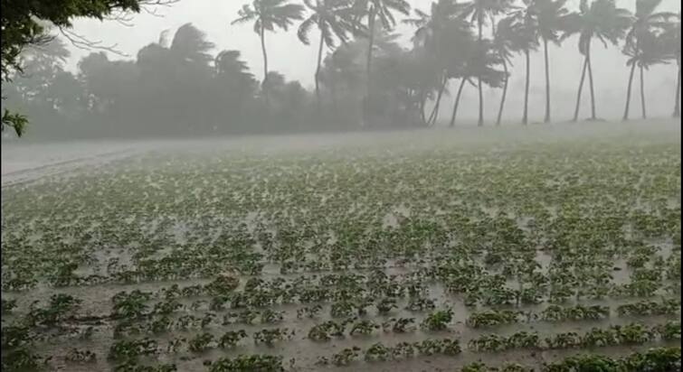 Heavy rains in Maliya Hatina flooded many areas Gujarat Rain:રાજ્યના અનેક વિસ્તારમાં વરસાદ શરૂ,માળીયા હાટીનામાં મેઘાની તોફાની બેટિંગ