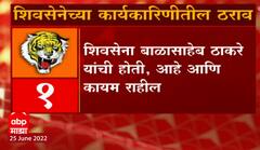 Shiv Sena Meeting : शिवसेनेच्या कार्यकारिणीतील ठराव, शिवसेना बाळासाहेब ठाकरेंची होती, आहे आणि राहील