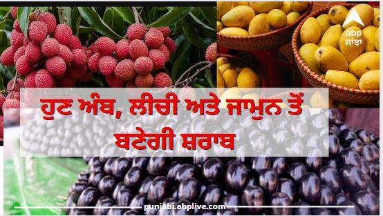 UP Liquor: Now wine will be made with mango litchi and jamun in Uttar pradesh UP News: ਯੂਪੀ ਵਿੱਚ ਹੁਣ ਅੰਬ, ਲੀਚੀ ਅਤੇ ਜਾਮੁਨ ਤੋਂ ਬਣੇਗੀ ਸ਼ਰਾਬ, ਲਿਆਂਦੀ ਜਾ ਰਹੀ ਹੈ ਇਹ ਸਕੀਮ