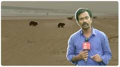 Bear Fear In Srikakulam: శ్రీకాకుళం జిల్లాలోని కొన్ని గ్రామాలను వణికిస్తున్న ఎలుగుబంటి భయం