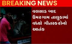 ઉમરગામ તાલુકામાં વધ્યો ગૌતસ્કરોનો આતંક, વાહન ફસાતા તસ્કરો થયા ફરાર