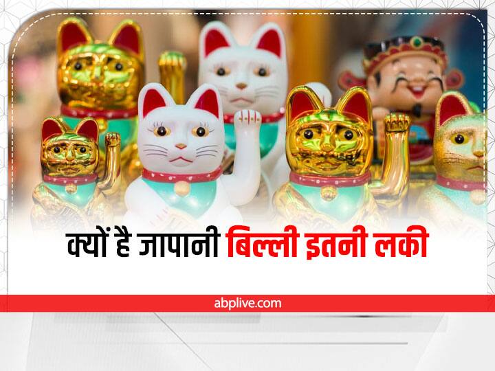 Feng Shui Lucky Cat: घर-ऑफिस में तरक्की लाती है जापानी बिल्ली, 4 रंग की बिल्ली के हैं अलग-अलग फायदे Feng Shui Japanese Lucky Cat Bnefits of different color Cat Direction to keep at home office Feng Shui Lucky Cat: घर-ऑफिस में तरक्की लाती है जापानी बिल्ली, 4 रंग की बिल्ली के हैं अलग-अलग फायदे