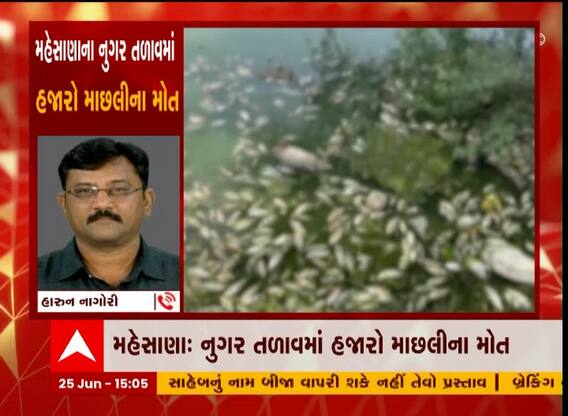 Mehsana : તળાવમાં કેમિકલવાળું પાણી છોડાતા હજારો માછલીના મોત