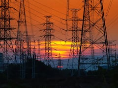 Chhattisgarh News: छत्तीसगढ़ में पहली बार गांजे से बनी बिजली, पॉवर प्लांट में जलाया गया 12 टन गांजा