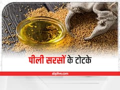 Peeli Sarso Ke Totke: कमाल के हैं पीली सरसों के ये टोटके, आपको कर देगा मालामाल