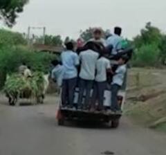 મોતની સવારીઃ ભાવનગરના વિદ્યાર્થીઓ જીવના જોખમે પહોંચે છે શાળાએ