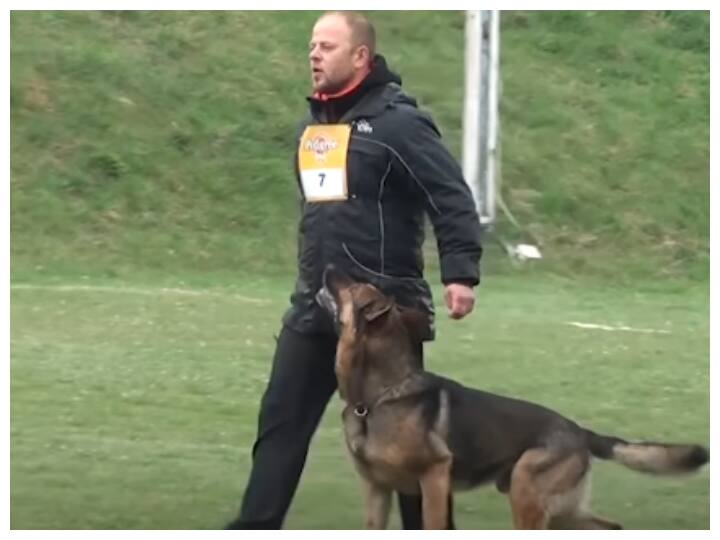 trending video showing a well trained German Shephard dog with its trainer goes viral on social media Watch: ये जर्मन शेफर्ड है Well Trained, देखकर आप भी हैरान हो जाओगे