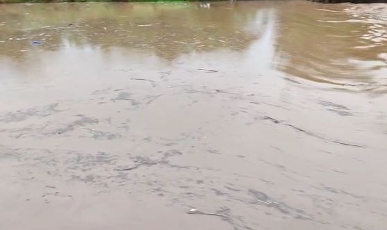 Maharashtra Rain : राज्याच्या काही भागात जोरदार पाऊस, पेरणीच्या कामांना वेग