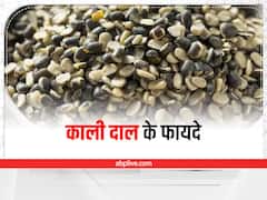 Kali Dal: घने बाल और ग्लोइंग स्किन चाहिए तो अपने खाने में शामिल करें काली दाल, इस विधि से खाएं
