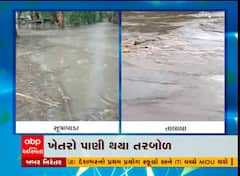 ગીર સોમનાથ જિલ્લામાં વરસાદની ધમાકેદાર એન્ટ્રી, સ્થાનિક નદીમાં આવ્યું પૂર