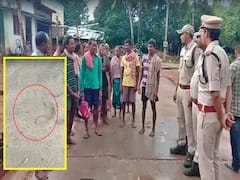 Parvatipuram Manyam News : పార్వతీపురం మన్యం జిల్లాలో ఎలుగుబంటి హాల్ చల్, భయాందోళనలో గిరిజనులు