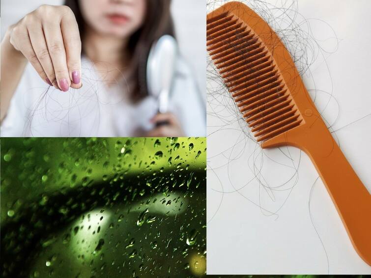 5 Foods You Should Consume to Keep Away From Hair Fall Monsoon Tips For Hair: ఈ జాగ్రత్తలు తీసుకోకుంటే వర్షాకాలం పూర్తయ్యేలోపు మీకు బట్టతల ఖాయం!