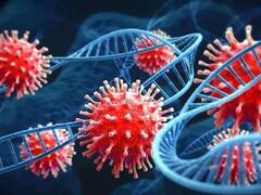 Covid19 : देशातील कोरोनाबाधितांच्या संख्येत घट, सक्रिय रुग्णांसह मृत्यूच्या संख्येत मात्र वाढ कायम