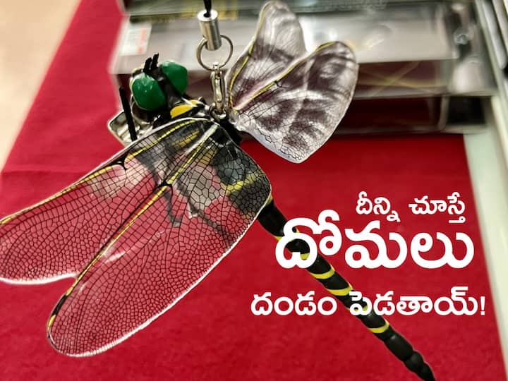 Japan Company Sells Dragonfly-Shaped Pendant That Allegedly Keeps Mosquitoes at Bay ఈ పెండెంట్ ధరిస్తే దోమలు దరిచేరవట, ఇది ఎలా పనిచేస్తుందో తెలుసా?