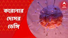Corona-Dengue: বাংলায় বাড়ছে করোনা, ভয় ধরাচ্ছে ডেঙ্গিও | Bangla News