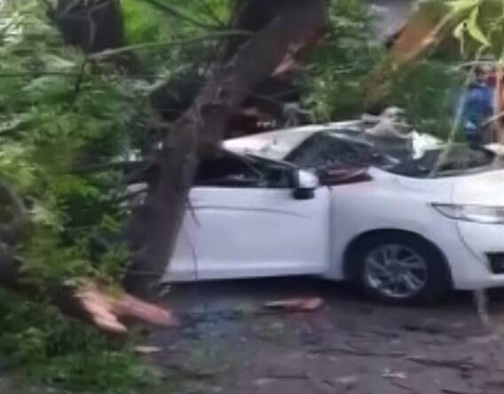 તમિલનાડુઃ કાર પર વૃક્ષ ધરાશાયી થતા યુવતીએ ગુમાવ્યો જીવ, અન્ય બે સારવાર હેઠળ