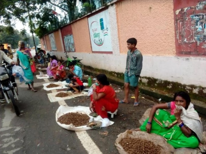 Ambikapur News: पनीर, चिकन, मटन से भी महंगी है ये जंगली सब्जी, जानें- कितनी है कीमत और क्या हैं फायदे?