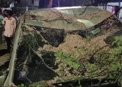 Chennai: Bank Manager Dies After Tree Falls On Car She Was Travelling
