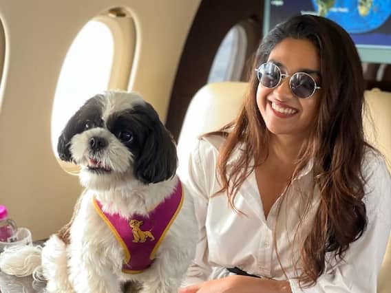 Keerthy Suresh with pet:செல்ல நாய்க்குட்யுடன் விமானத்தில் பறந்த கீர்த்தி சுரேஷின் போட்டோ கிளிக் Keerthy Suresh with pet:செல்ல நாய்க்குட்யுடன் விமானத்தில் பறந்த கீர்த்தி சுரேஷின் போட்டோ கிளிக்