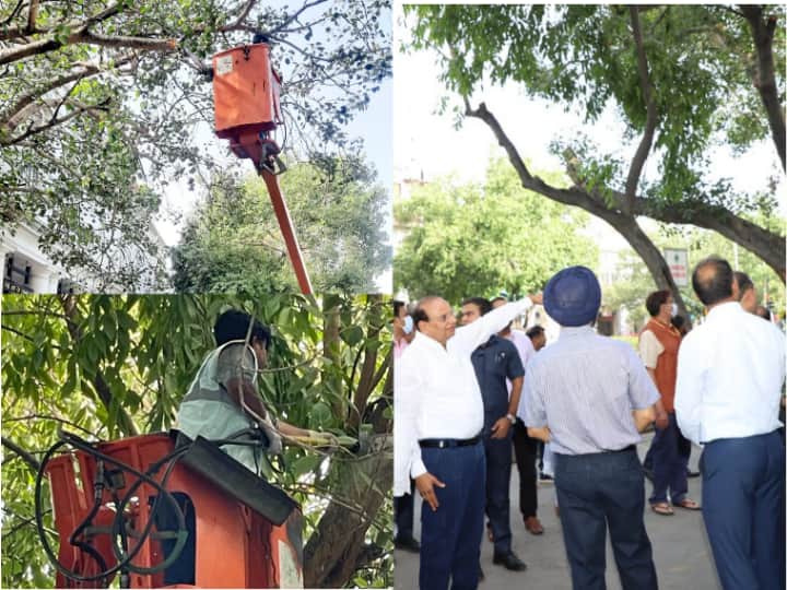 Delhi News Trees cutting and pruning in Connaught Place in Delhi on instructions of LG Vinai Kumar Saxena ann Delhi News: दिल्ली के कनॉट प्लेस में एलजी के निर्देश पर की जा रही पेड़ों की कटाई और छंटाई, जानिए वजह