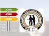 SCCL Junior Assistant Recruitment 2022: డిగ్రీ అర్హతతో సింగరేణి కాలరీస్‌లో ఉద్యోగాలు- జులై 10 ఆఖరు తేదీ