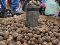 Ambikapur News: पनीर, चिकन, मटन से भी महंगी है ये जंगली सब्जी, जानें- कितनी है कीमत और क्या हैं फायदे?