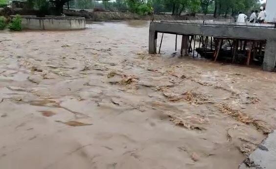 Maharashtra Rain : राज्याच्या काही भागात जोरदार पाऊस, पेरणीच्या कामांना वेग