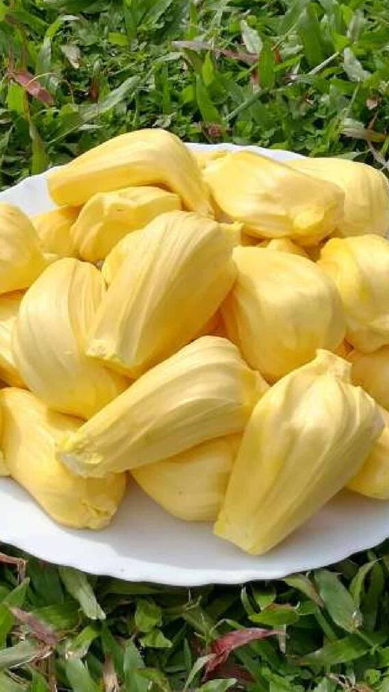 हेल्थ टिप्स: क्या डायबिटीज में फायदेमंद है चैंटरलेस? जानकारी पढ़ें