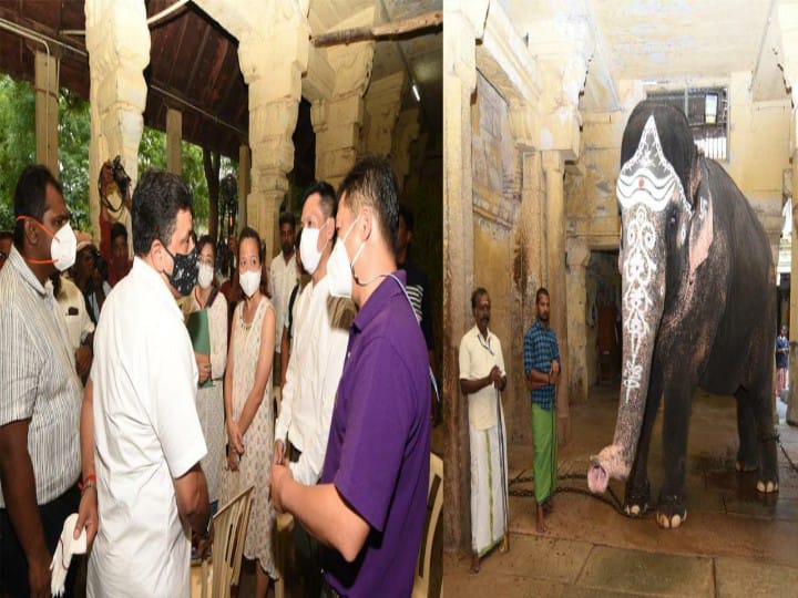 Madurai: மீனாட்சியம்மன் கோயில் யானைக்கு தாய்லாந்து மருத்துவக்குழு சிகிச்சை; அமைச்சர் பிடிஆர் ஆய்வு