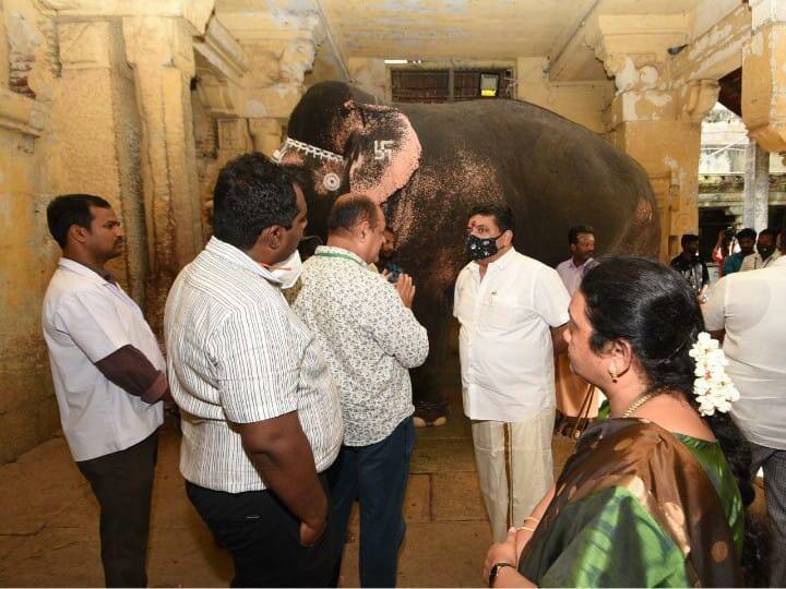 Thai medical team treats Madurai Meenakshiamman temple elephant so Minister ptr inspection Madurai: மீனாட்சியம்மன் கோயில் யானைக்கு தாய்லாந்து மருத்துவக்குழு சிகிச்சை; அமைச்சர் பிடிஆர் ஆய்வு