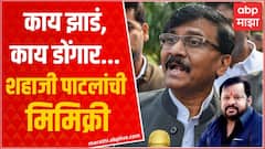Sanjay Raut on MLA Shahaji Patil : शाहजी पाटलांच्या व्हायरल ओडियो क्लिपनंतर संजय राऊतांनी मिमिक्री