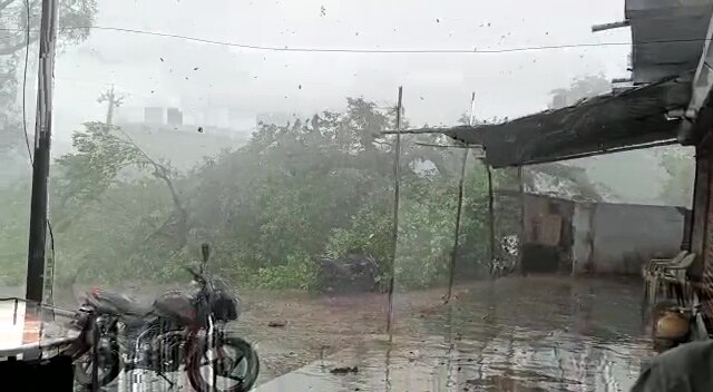 Gujarat Rain: ગુજરાતમાં ભારે વરસાદથી કઈ જગ્યાએ ઉડ્યા પતરા ? ક્યાં થયા વૃક્ષો ધરાશાયી, જાણો વિગત