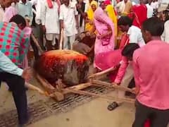 Bundi News: धूमधाम से निकाली गई लोक देवता घास भैरू की सवारी, बीमारियां दूर होने और अच्छी बारिश की है मान्यता