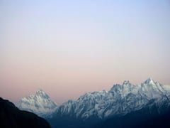 Rare plant Species in Himalayan region: ఈ మొక్క నాన్‌ వెజ్‌టేరియన్, కీటకాల్ని లాగేసుకుని తినేస్తుంది