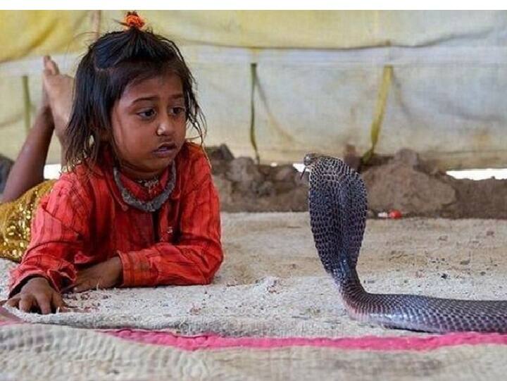 In this Village in Maharashtra, Residents Co-Exist With Snakes Under One Roof பாம்புகளுக்காகவே வீட்டில் தனி பொந்து! சாதாரணமாக வந்து போகும் நாகப்பாம்புகள்! விநோத கிராமம்!
