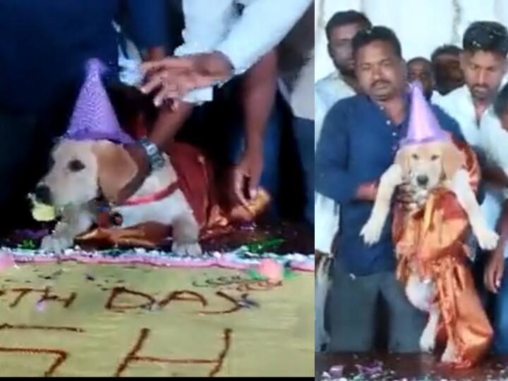 man threw birthday party for his pet dog with 100 kg cake நாயின் பிறந்தநாளுக்கு 100 கிலோ கேக்! 4 ஆயிரம் பேருக்கு சாப்பாடு! ஓனரின் ஓஹோ கொண்டாட்டம்!