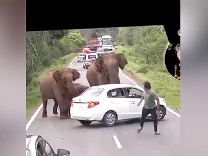 Hosanur; Elephants smashing into a car; Traffic impact நடுரோட்டில் சிக்கிய காரை சின்னாபின்னமாக்கிய யானைகள்! பதைபதைக்கும் வீடியோ!