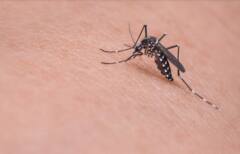 Monsoon Baby Care: बरसात में बच्चों की इस तरह करें देखभाल, वरना हो सकती हैं समस्याएं