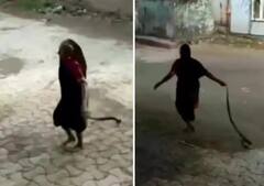 Viral Video : आजीबाई जोरात! विषारी सापाला पकडत गावाबाहेर फेकलं