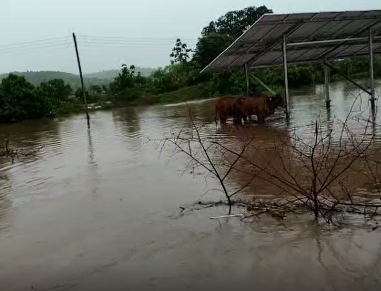 Nanded Rain : नांदेडमधील जांभळा परीसरात ढगफुटी सदृश्य पाऊस, हजारो हेक्टरवरील पिकं गेली वाहून 