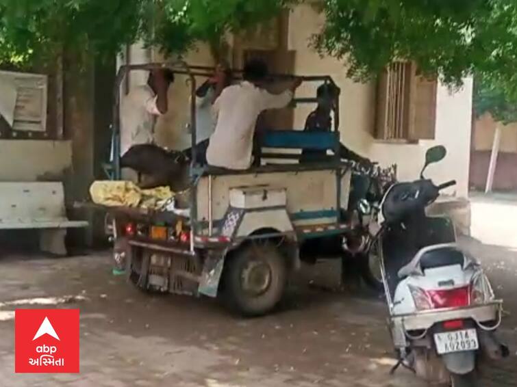 The body of a young man who drowned in Silana village in Bagasara of Amreli was taken to Rickshaw Amreli : બગસરામાં પ્રશાસનની ઘોર બેદરકારી, એમ્બ્યુલન્સ ન મળતા મૃતદેહને છકડામાં લઇ જવો પડ્યો