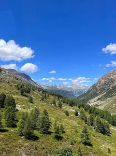 સ્વિત્ઝર્લેન્ડમાં એક-બીજામાં ખોવાયા શાહીદ-મારી, ફેંસ સાથે શેર કરી તસવીરો