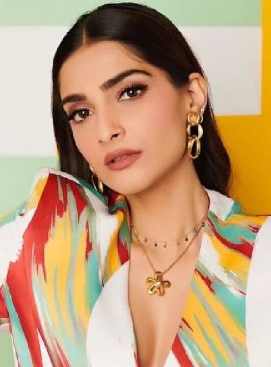 सोनम कपूर (Sonam Kapoor) का एक कीमती हीरों का हार उनके घर से ही चोरी हो गया था जिसकी कीमत लगभग पांच लाख रुपये थी. पुलिस में शिकायत लिखवाते हुए उन्होंने बताया था कि आखिरी बार उन्होंने एक पार्टी में उस हार को पहना था.