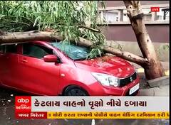 રાજકોટ: વરસાદમાં અનેક જગ્યાએ વૃક્ષો અને હોર્ડિંગ થયા ધરાશાયી