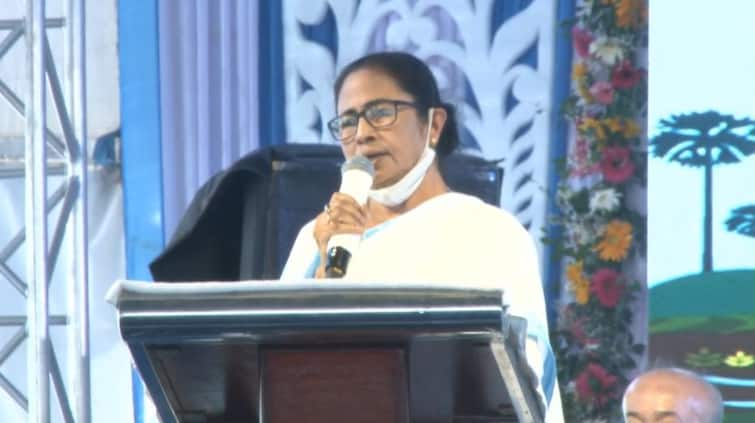 Asha, icds worker will get mobile phone worth rupees 8000, said mamata banerjee Mamata Banerjee: আশা আইসিডিএস কর্মীদের জন্য ৮ হাজারের ফোন, ঘোষণা মমতার