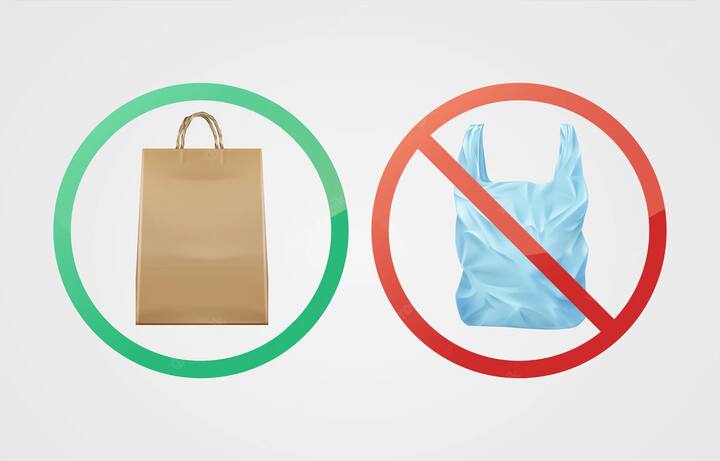 कभी भी मार्केट से सब्जी या फिर कोई सामान खरीदने के लिए घर से कपड़े का थैला ले जाएं. प्लास्टिक बैग को अवॉइड करें. (Photo- Freepik)